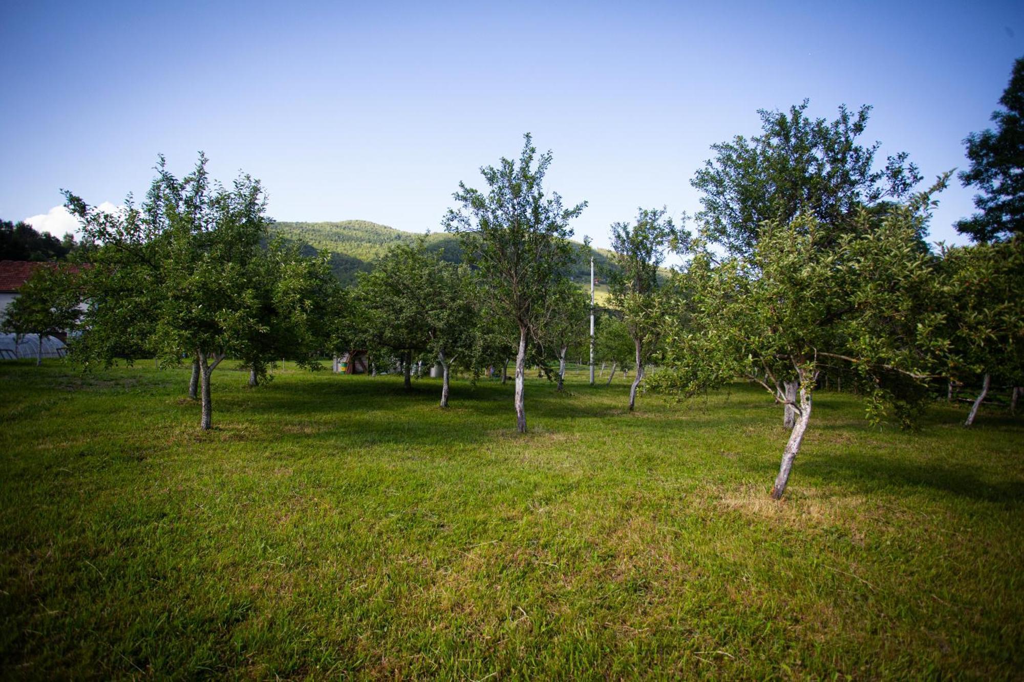 Ethno Village Štitarica Mojkovac Esterno foto